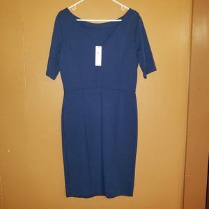 $119 ANN TAYLOR Sz. 8 BLUE SHORT SLEEVE DRESS NWT